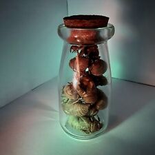 10 Cicada Shells / Molts in a Glass Jar picture