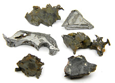 Seymchan IIE Iron/ Pallasite PMG Meteorite Lot Russia 26.40 Grams picture