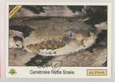 1991 Acorn Biosphere Promo Set Canebreak Rattle Snake #75 0rw9 picture