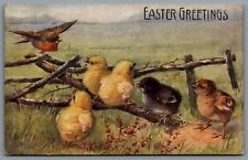Postcard Easter c1908 Tucks Oilette Birds of a Feather Robin in Flight With Worm picture