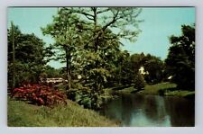 Leland MS-Mississippi, Beautiful Deer Creek, Vintage Souvenir Postcard picture