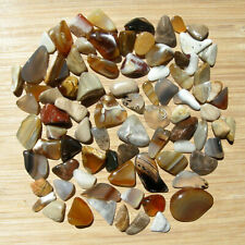 Polished Stones Natural Rock Mix Small Agate Crystals Jasper Fossil Wood 8oz Lot picture