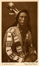 THE VANISHING RACE - 33 - CHIEF RED CLOUD -  PHOTOGRAVURE -GENUINE - 1913 picture