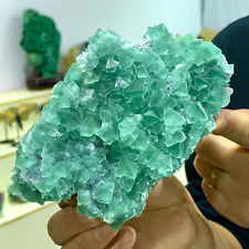 1.46LB Natural green Fluorite Quartz Crystal Mineral specimen picture