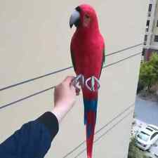 big simulation foam&feather red&blue parrot model bird gift about 60cm picture
