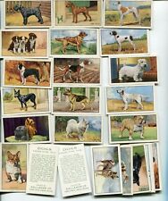 1936 GALLAHER LTD CIGARETTES 48 DIFFERENT DOGS SERIES 1 CARD SET picture