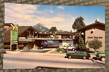 Vintage Postcard - Best Western Olive Tree Motor Inn San Luis Obispo, California picture