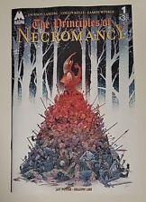 PRINCIPLES OF NECROMANCY #1 04/10/2024 NM-/VF+ COVER A WINKLE (MR) MAGMA COMIX picture