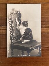 Antique 1900s French Cat RPPC Unposted “Reutlinger Paris