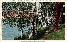 Postcard, Stevens Point, Wisconsin, Dr. & Mrs. R. J. McDonald, Doyle, Postcard picture