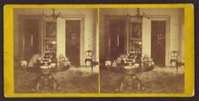 Stereoscopic views of residences, interiors, monuments, statuary, o - Old Photo picture