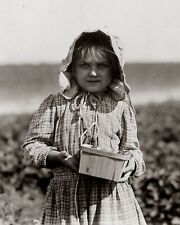 1910s 5 YEAR OLD BERRY PICKER Child Labor Photo  (225-F) picture