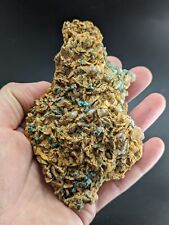 Very Rare, Aurichalcite and Selenite, Red Cloud Mine, Rush, Marion Co.  Arkansas picture