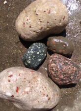 PUDDING STONE GOWGONDA TILLITE CONGLOMERATE BOX LOT ROCK DISPLAY RAW LAPIDARY picture