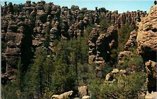 Heart Rocks Chiricahua National Monument Arizona Az Chiricahua Nm Postcard picture