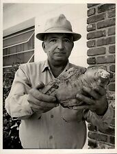 1967 Original Photo by Ricardo Ferro holding huge sweet potato Anthony Velardo  picture