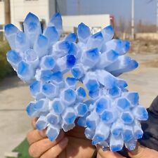 3.56LB New find sky blue phantom quartz crystal cluster mineral sample picture