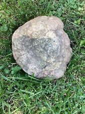 25 Lb + Indiana Geode  Crystals , minerals,fossil   Intact Jewelry Lapidary picture
