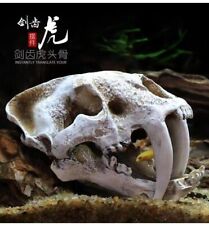 Resin Big Simulation Saber Tooth Tiger Sabertooth Skull Smilodon Aquarium Decor picture