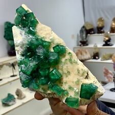 3.05LB Rare transparent GREEN cubic fluorite mineral crystal sample/China picture