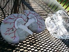 VINTAGE CLEAR HUMAN HEAD ANATOMICAL 4 PART REMOVEABLE BRAIN PHARMA  picture