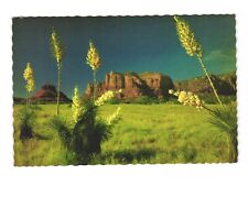 Oak Creek Canyon, Arizona - VTG Postcard Unposted 4x6 picture