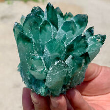 430G  newly discovered mineral specimen of green Phantom Quartz Crystal Clus picture
