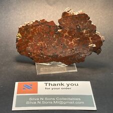 Copper in Matrix on stand lacquered, Morncci, Greenlee Co, AZ, USA 110x70x.7mm picture