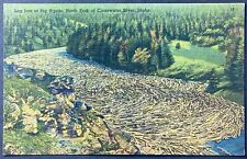 Clearwater River Idaho Log Jam Vintage Linen Postcard Unposted picture