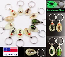 Luminous Real Insect Bug Beetle Glowing Keychain Glow in Dark Tear Drop Shape picture