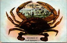 Vtg Souvenir of South Jamesport Long Island NY Crab Beach Scene 1909 Postcard picture