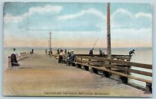 Postcard MI Bay View Michigan Fishing On The Dock 1909 View AF12 picture
