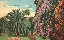 Vintage Postcard 1958 Florida's Tropic Splendors Sunshine Land Flowers & Plaza picture