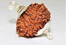 Rare and Sacred: Certified A++ 15 Mukhi Rudraksha - A Highly Sought After Hindu picture