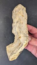 Middle Palaeolithic-Mousterian Notched Sickle c50k Years BP, UK. picture