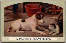 Vintage 1910s Animal / DOG Postcard 