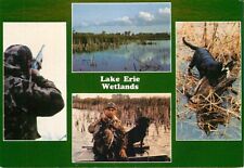 Postcard 4 Hunting Views in Lake Erie, Ohio Wetlands picture