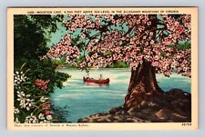 Mountain Lake VA-Virginia, Sea Level In Alleghany Mountains, Vintage Postcard picture
