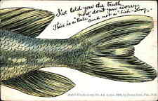 Fish Tale Partial Installment Comic Huld Series 4-d c1910 Postcard picture