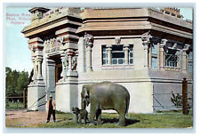c1910s Elephant Scene Buenos Aires Phua Victoria Portena Argentina Postcard picture