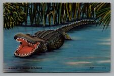 Hungry Alligator in Florida Temperature Recording Unposted Linen Postcard picture