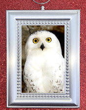 Harry Potter Companion Pet Snowy Owl Bird Hedwig Christmas Ornament Animal picture