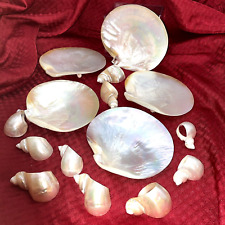 MOTHER OF PEARL FOOTED CAVIAR DISHES AND NAPKIN RINGS - 15 PIECES picture