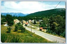 Bigfork Montana Postcard Aerial View Flathead Lake Street View Road 1960 Vintage picture