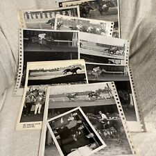 Lot of 16 photos black-and-white racehorse 1964 Plastic Sleeve On Most picture
