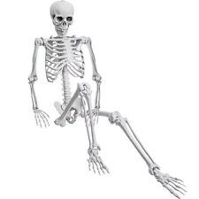 5.4ft/165cm Halloween SkeletonLife Size Skeleton Plastic Full Body Human Bone... picture