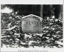1978 Press Photo Gravestone for Henry David Thoreau in Sleepy Hollow Cemetery. picture