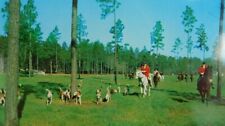 Southern Pines North Carolina Hinting Dogs Hounds Chrome Vintage Postcard picture