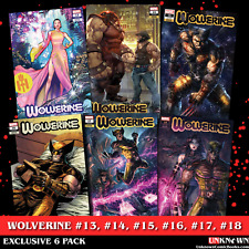 [6 PACK] WOLVERINE (#13-#18) 13, 14, 15, 16, 17, 18 UNKNOWN COMICS EXCLUSIVE VAR picture