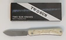 TWOSUN FOLDING KNIFE TITANIUM/BONE HANDLE M390 PLAIN EDGE TS197-M390 picture